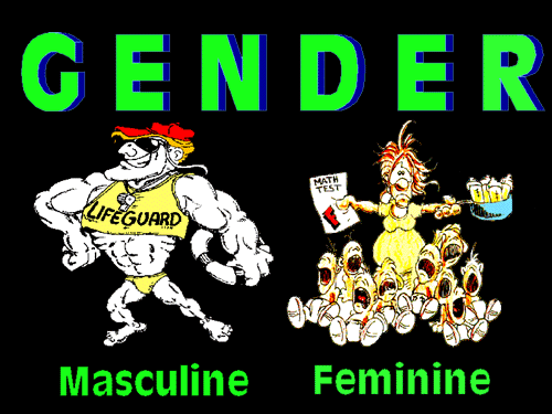 gender predrasude